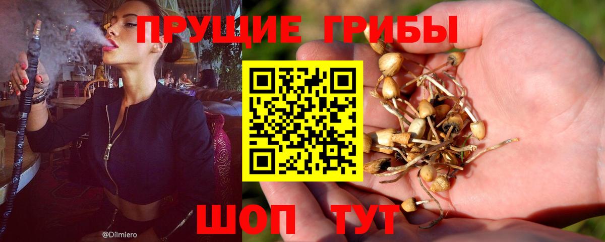Галлюциногенные грибы мицелий  Вход с VPN  закладка  Пугачёв 