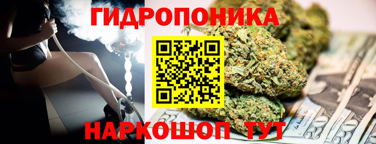 Шишки марихуана сатива Пугачёв
